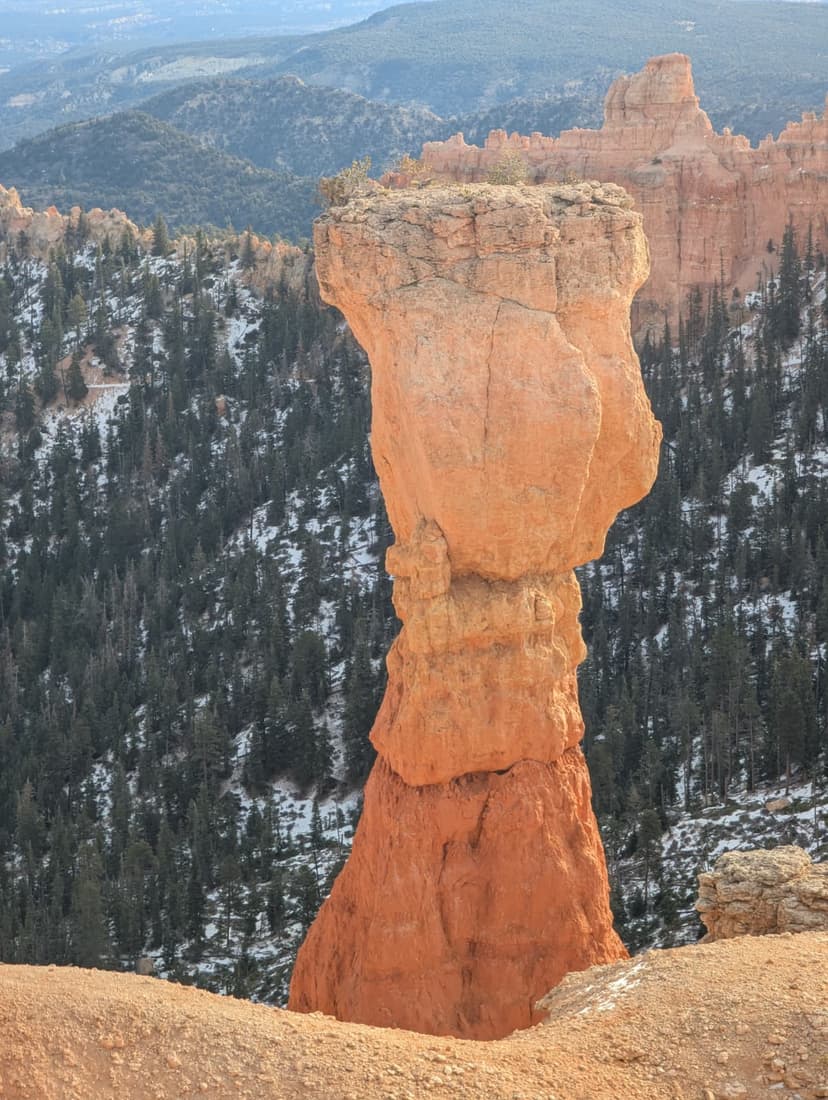 Unique sandstone pillar formation surrounded by pine trees