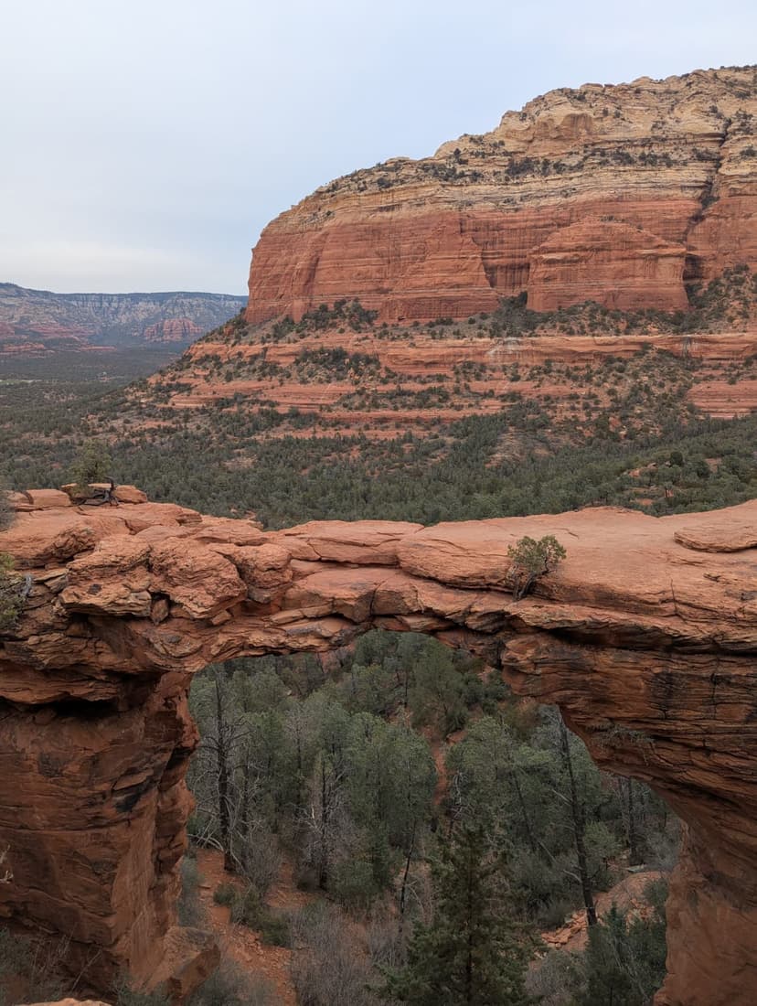 Devils Bridge natural arch surrounded by red rock cliffs and green pines