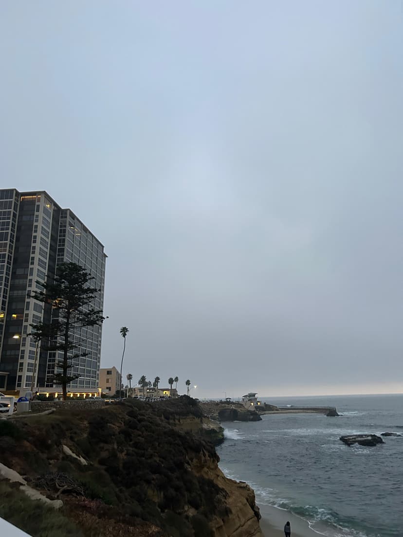 La Jolla coastline view with cliffs, buildings, and palm trees under cloudy sky