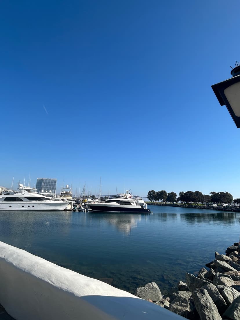 Harbor view with yachts docked in San Diego Marina under clear blue sky