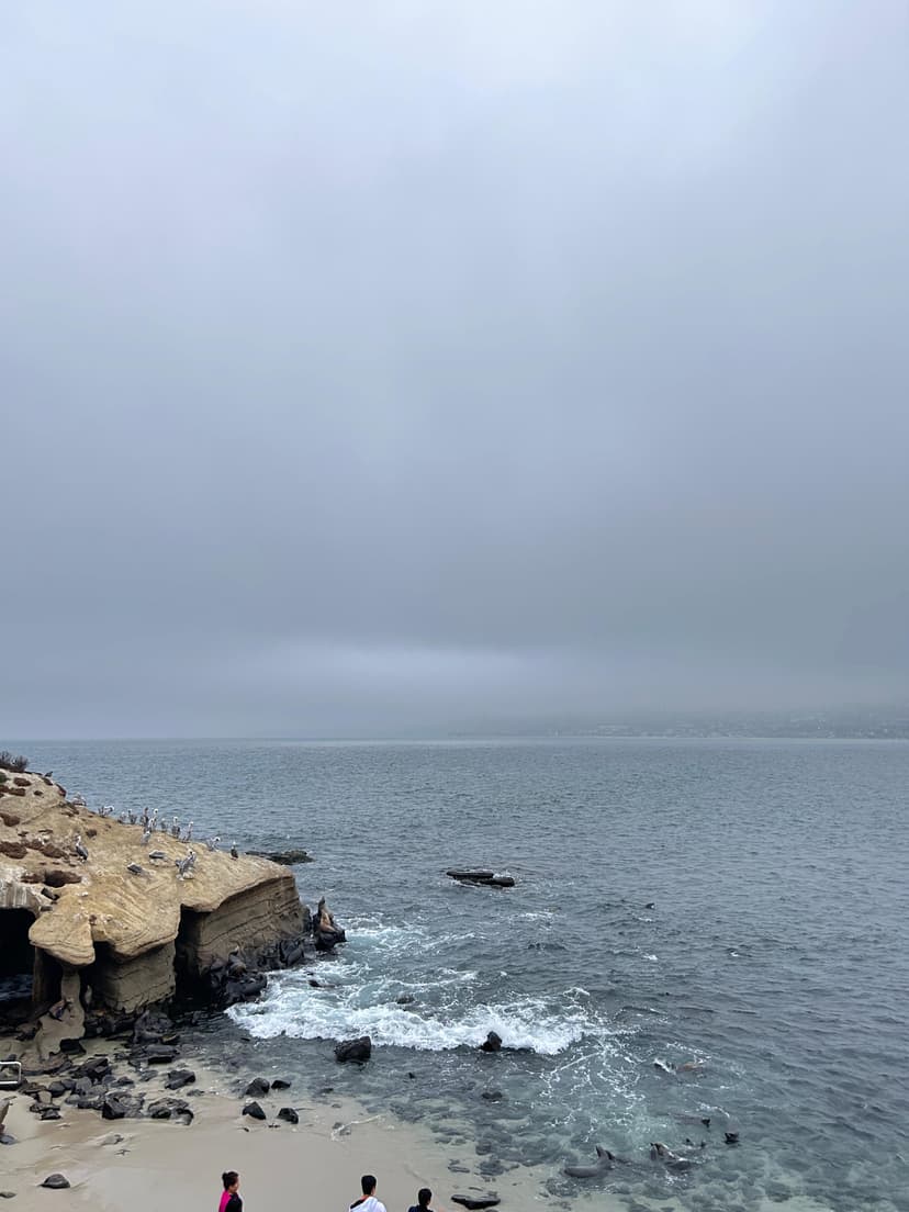 Overcast view of La Jolla coast with ocean waves and rocky cliffs