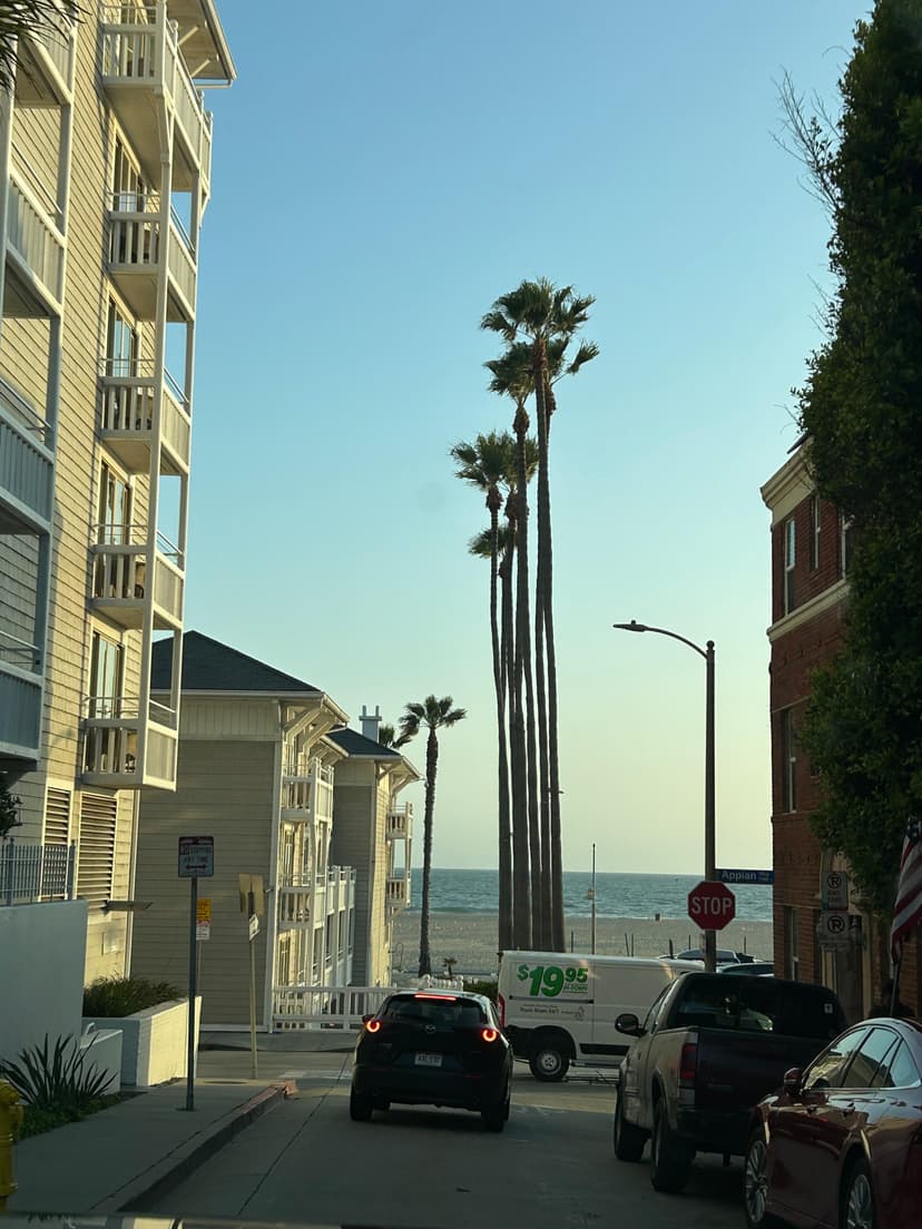 Street view leading to the beach with palm trees and sunset in California