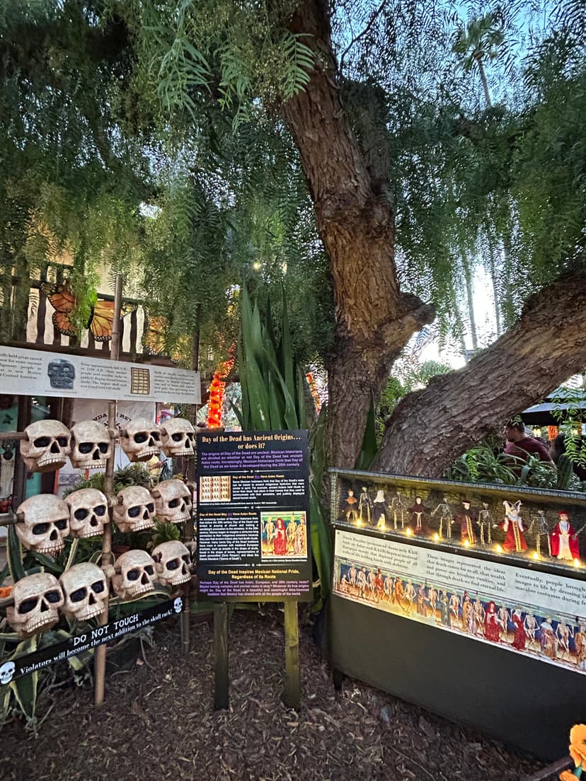 Day of the Dead educational display with skulls and figurines in Old Town San Diego