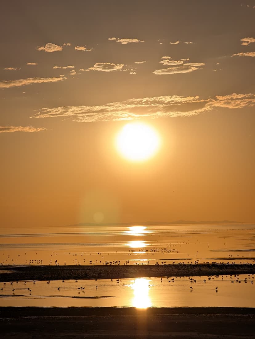 Golden sunset over the Great Salt Lake with reflections and birds