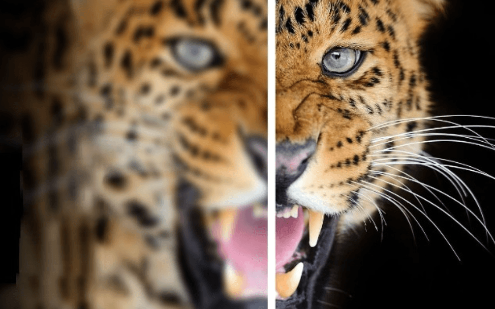 Image Super-Resolution with ESRGAN