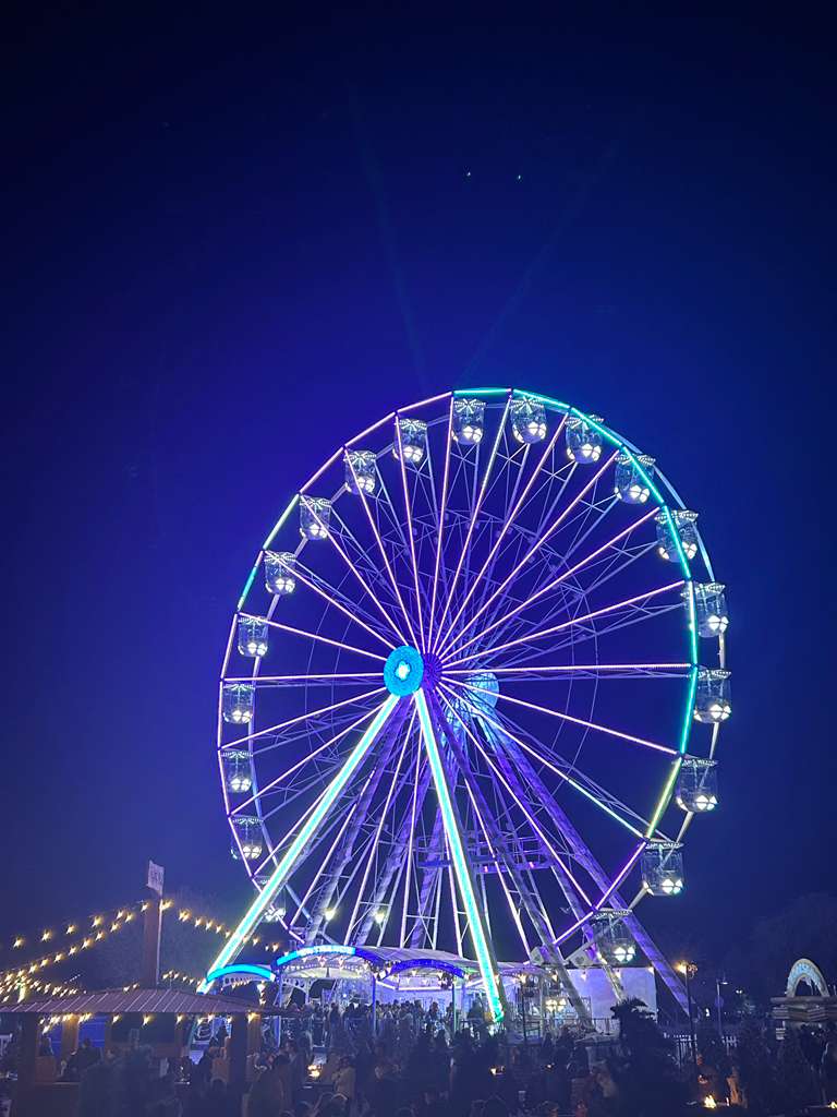Neon ferris wheel glowing at night