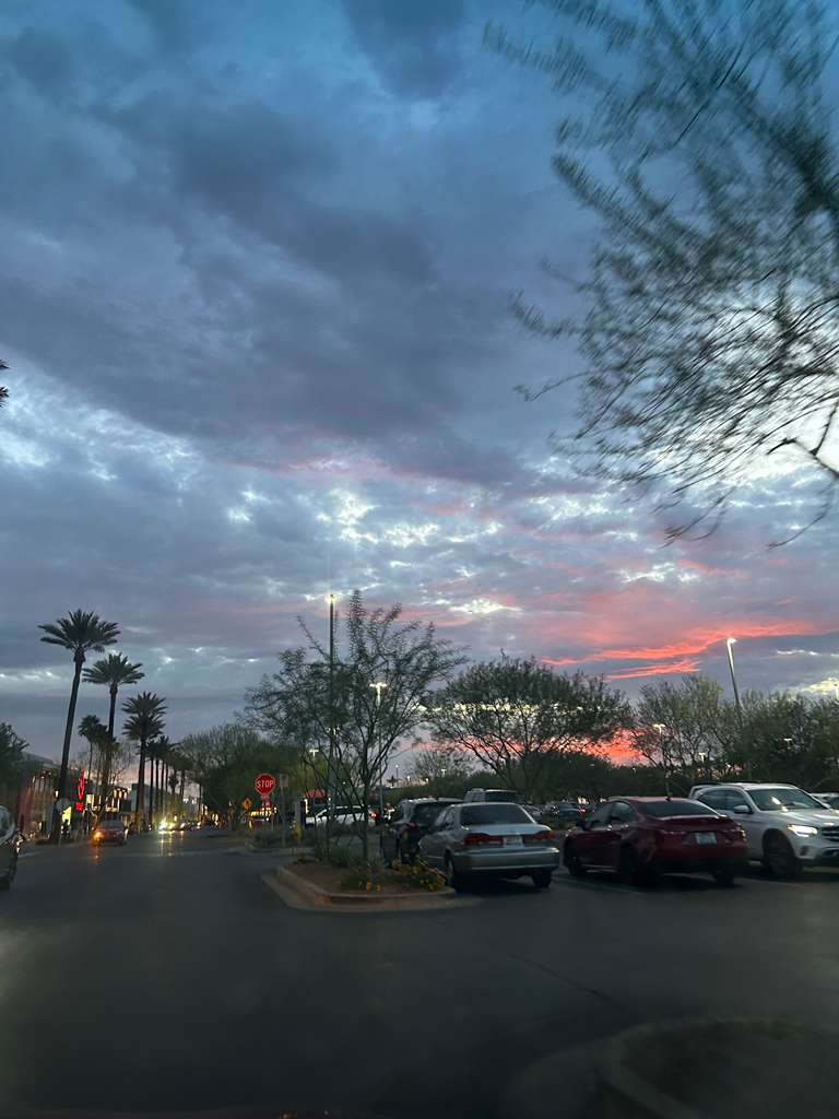 Blue hour over palm trees