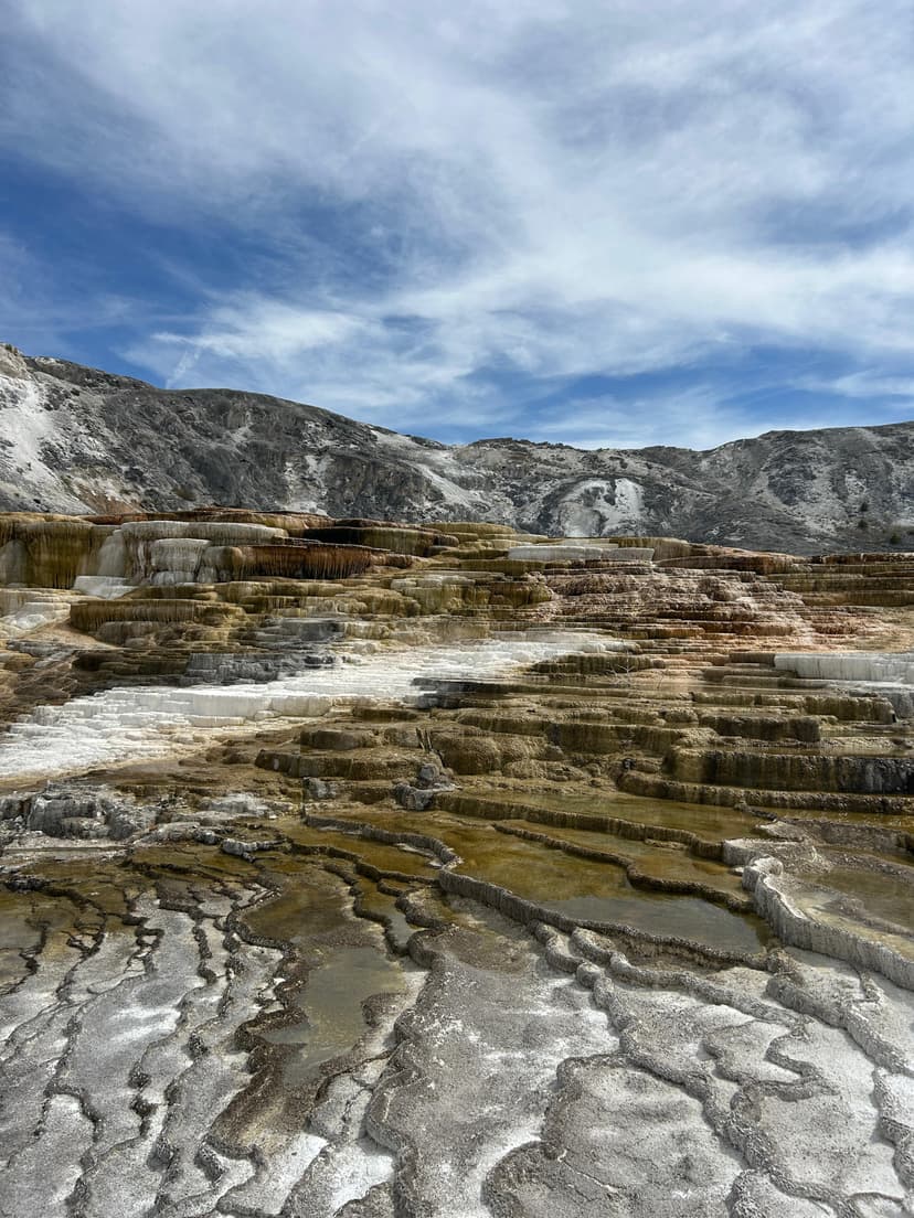 Terraced geothermal formations at Mammoth Hot Springs with textured mineral layers